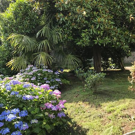 Appartamento La Camelia Ameno Kültér fotó