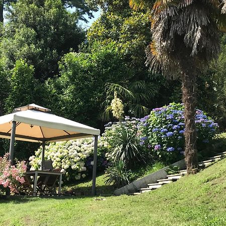 Appartamento La Camelia Ameno Kültér fotó