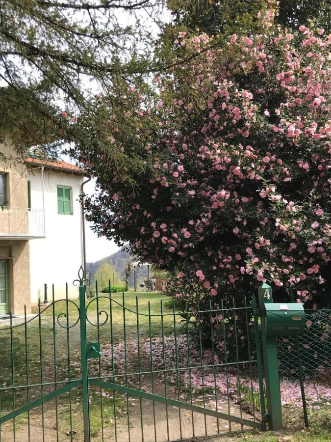 Appartamento La Camelia Ameno Kültér fotó