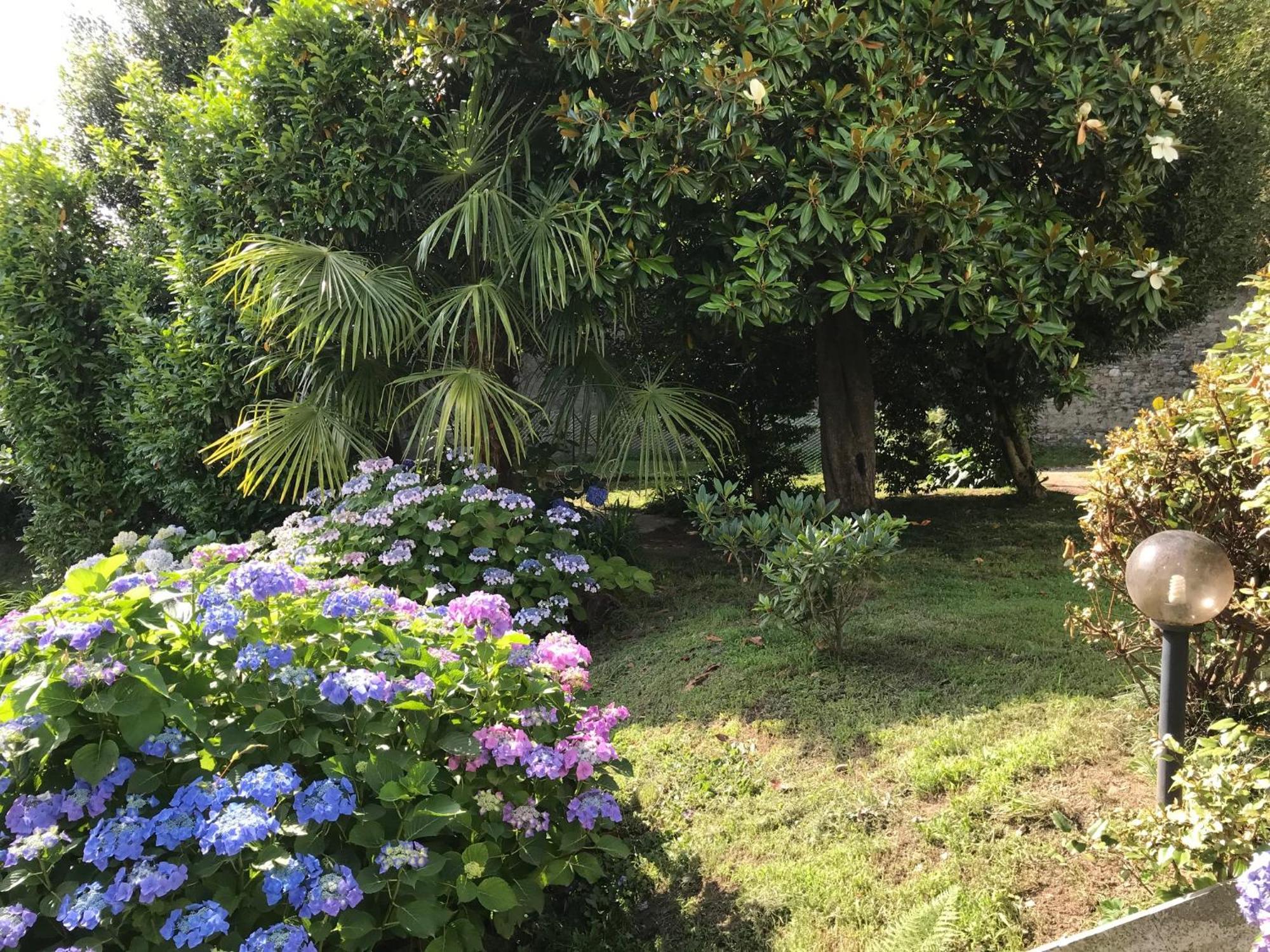Appartamento La Camelia Ameno Kültér fotó