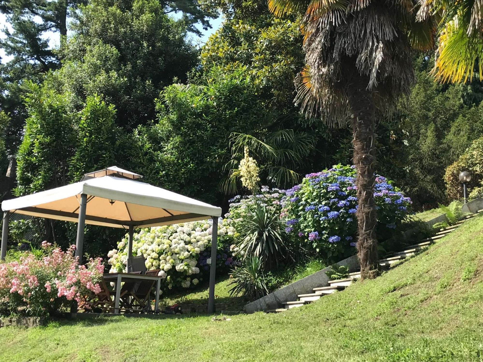 Appartamento La Camelia Ameno Kültér fotó